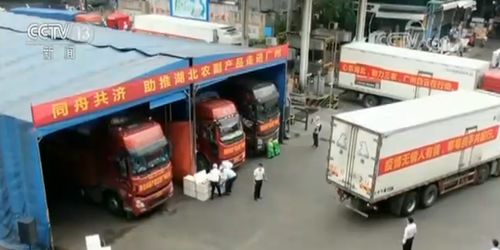 多措并舉拓銷路，湖北農(nóng)副產(chǎn)品產(chǎn)銷兩旺譜新篇