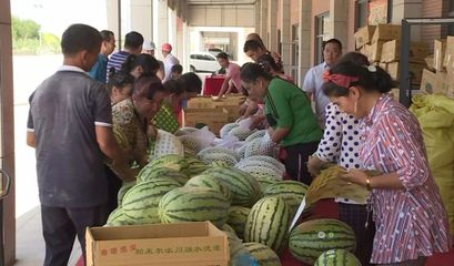白云人組團(tuán)采購逾1.5萬個新疆西瓜，愛心接力解滯銷燃眉之急
