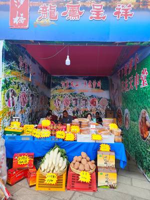 地道“沙橋味道”飄香展銷會 農(nóng)特產(chǎn)品推介助力鄉(xiāng)村振興